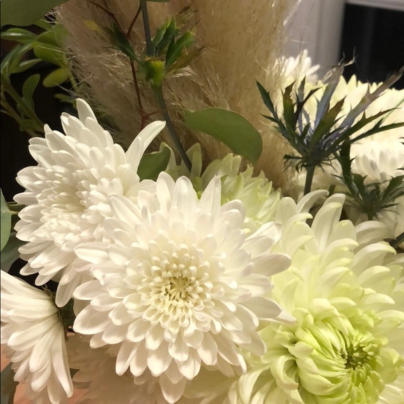 Meet your Posher, Laura - Picture 1 of 1